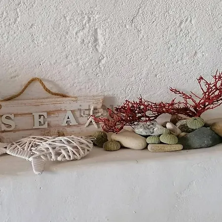 Stunning Sea View W/private Pool - 5 Minutes From The Beach!